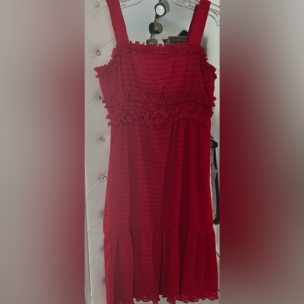 FARROW Endless Rose Sleeveless Red Ruched Ruffled Lined Lace Dress Size M